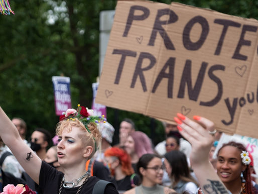 Understanding the Negative Impacts of Trans-Exclusionary Radical Feminist (TERF) Ideologies