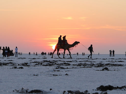 Rural Tourism: A Pathway to Sustainable Development and Community Empowerment